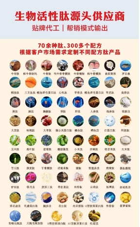 生物活性肽源頭供應商